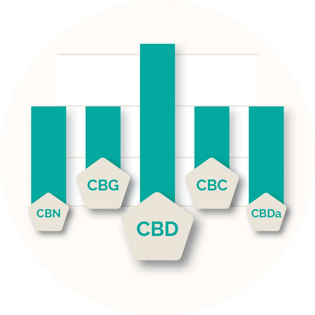 8 Signs Of A Significant-High quality CBD Oil